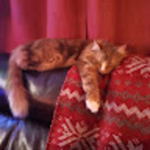 Meet your Posher, Joyce